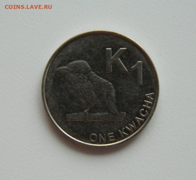 Замбия 1 квача 2015 г. (Фауна) до 17.01.24 - DSCN0422.JPG