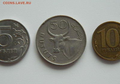 Гамбия 50 бутутов 1971 г. (Фауна) до 22.01.24 - DSCN0755.JPG