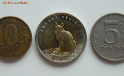 Турция 1 лира 2015 г.(Юбилейная) Кошка до 23.01.24 - DSCN0998.JPG