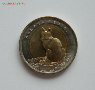 Турция 1 лира 2015 г.(Юбилейная) Кошка до 23.01.24 - DSCN0997.JPG