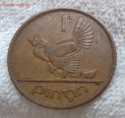 Ирландия 1 пенни 1964 до 21.01 22:00 - Ирландия 1 пенни 1964 20240115_145533