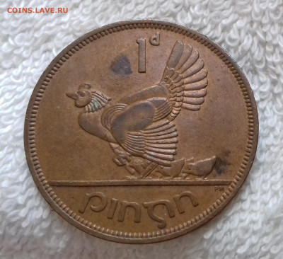 Ирландия 1 пенни 1963 до 21.01 22:00 - Ирландия 1 пенни 1963 20240115_145642