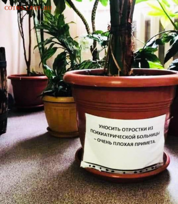 Юмор - Плохая примета