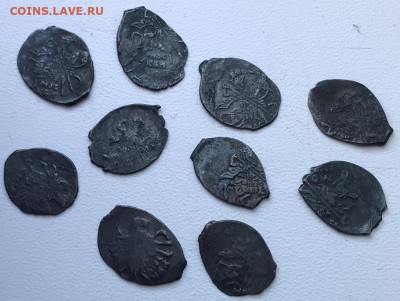 Чешуйки Ивана Грозного 10 шт до 21.01.2024г - 2