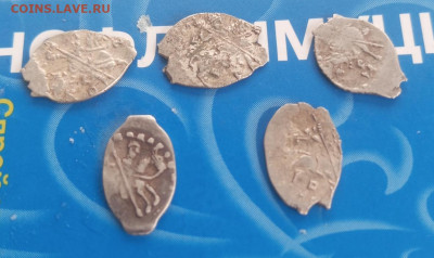 Распродажа комплекса, чешуйки 5 штук разные до23. 01.2024 - IMG_20240118_110443_323