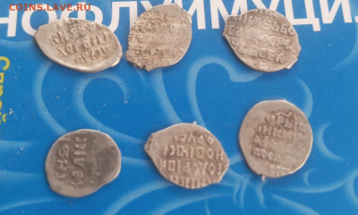 Распродажа комплекса, чешуйки 6 штук разные до 23. 01.2024 - IMG_20240118_111033_489