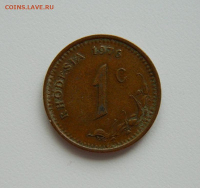Британская Родезия 1 цент 1976 г. до 24.01.24 - DSCN0620.JPG