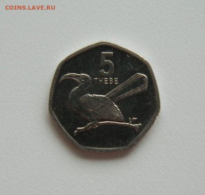 Ботсвана 5 тхебе 2013 г. (Фауна). до 24.01.24 - DSCN0667.JPG