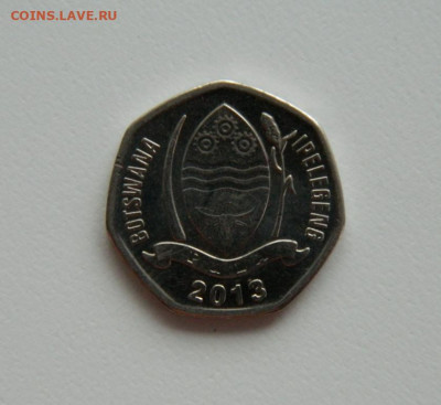 Ботсвана 5 тхебе 2013 г. (Фауна). до 24.01.24 - DSCN0668.JPG