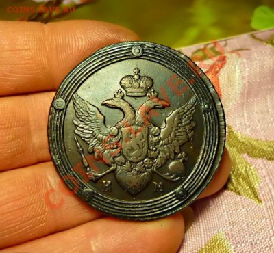 5коп-1805КМ-Кольцевик приличный - P1030284.JPG