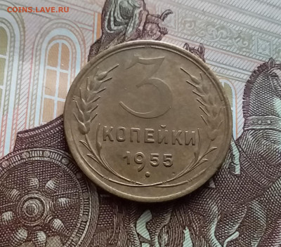 3 копейки 1955. До 27.01.24 в 22.00 - 20240121_131453