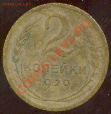 2коп 1929. - img531