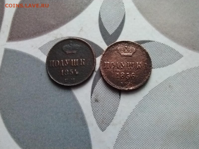 2 полушки 1854, 1856 ем до 24.01.2024 - 2пол (8)