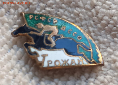 Знаки ДСО Урожай 2 шт. до 23.01 - IMG-20240121-WA0021