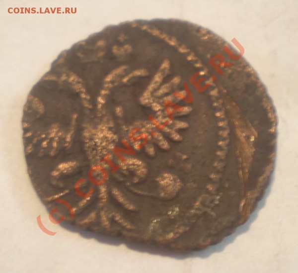 полушка 1731 года, красивая - P7010066_thumb