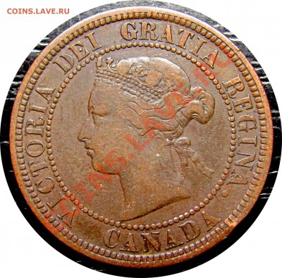 F82 Канада 1¢ 1876H до 15.01 в 22°° - F82 1c 1876H_1