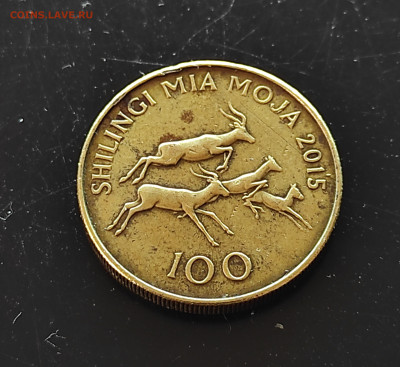 Танзания 100 шиллингов 2015 До 29.01.2024 - IMG_20240124_125407