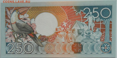 Суринам 250 гульденов 1988 г. до 30.01.24 - DSCN1362.JPG