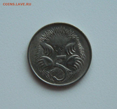Австралия 5 центов 1966 г. (Фауна) до 30.01.24 - DSCN1272.JPG