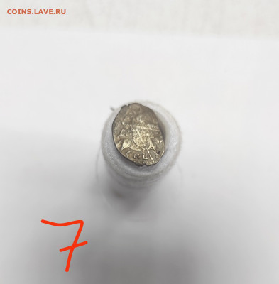 Определение чешуек - IMG_20240125_172840