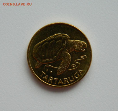 Кабо-Верде 1 эскудо 1994 г. (Фауна) до 30.01.24 - DSCN1301.JPG