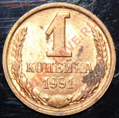 1 копейка 1991 года Солнца нет - IMG_1621.JPG