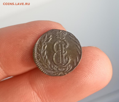 Полушка 1771км Сибирская xf+ - IMG_20231225_142456