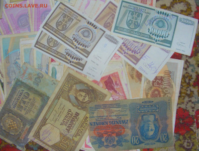 Куча убитых бон 74 штуки 02.02.24 22:00 М - CIMG7005.JPG