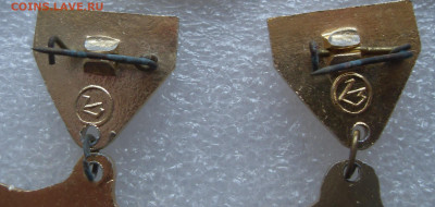 шт - SDC17478.JPG