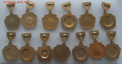 шт - SDC17477.JPG