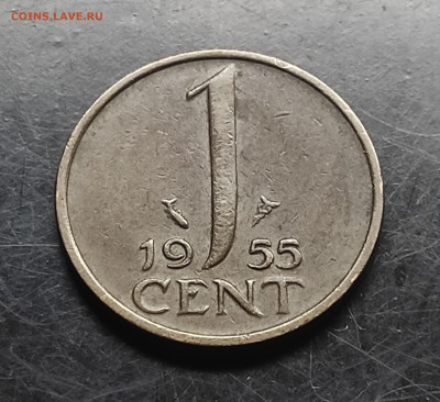 Нидерланды 1 цент 1955 до 3.02.2024 - IMG_20240128_183126