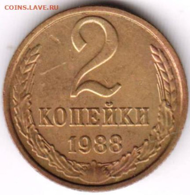24 г. в 23.00 - 022