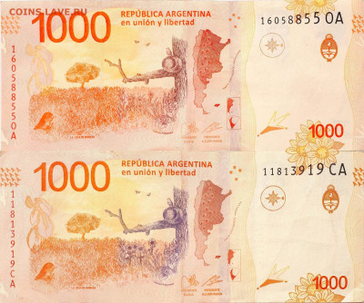 Показываем интересные браки бон - 1000p_contraste_21.01.24