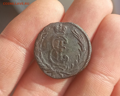 Сибирская копейка 1769  xf - IMG_20240202_122144