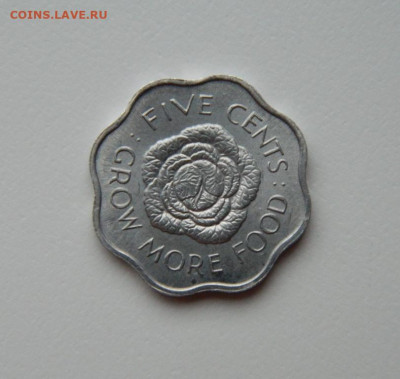 Британские Сейшельские острова 5 центов 1972 г. до 08.02.24 - DSCN1791.JPG