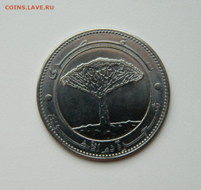 Йемен 20 риалов 2006 г. (Крупная!) до 08.02.24 - DSCN1813.JPG