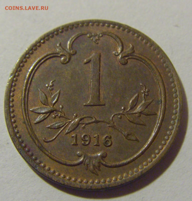 1 геллер 1916 ЩИТ Австрия №3 08.02.24 22:00 М - CIMG6228.JPG