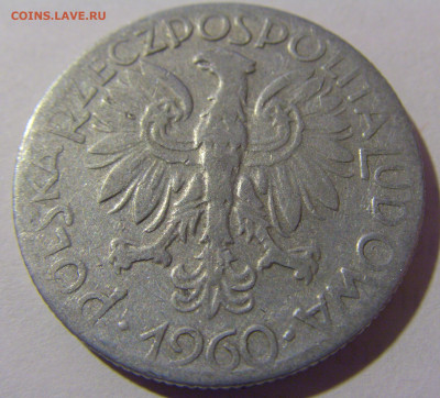5 злотых 1960 Польша №3 08.02.24 22:00 М - CIMG6282.JPG