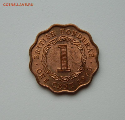 Британский Гондурас 1 цент 1965 г. до 07.02.24 - DSCN1879.JPG