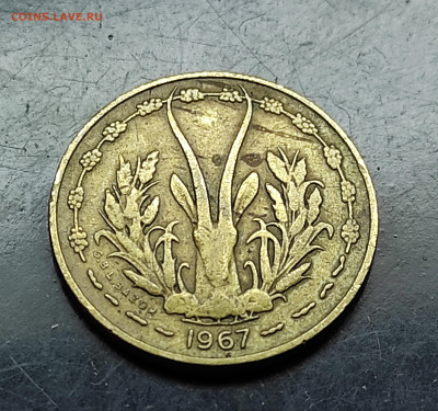 Западная африка 5 франков 1967 до 8..02.2024 - IMG_20240203_121520