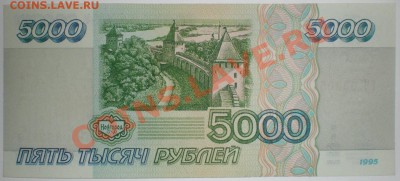  - P1100001.JPG