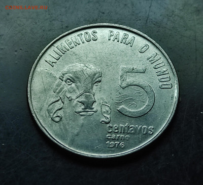 Бразилия 5 сентаво 1976 юбилейная (зебу)до 9..02.2024 - IMG_20240203_232052