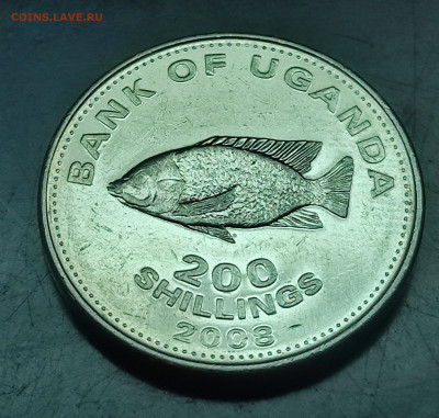 Уганда 200 шиллингов 2008 до 9..02.2024 - IMG_20240204_014456