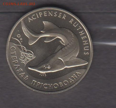 Украина 2012 стерлядь 2гр до 08 02 - 23