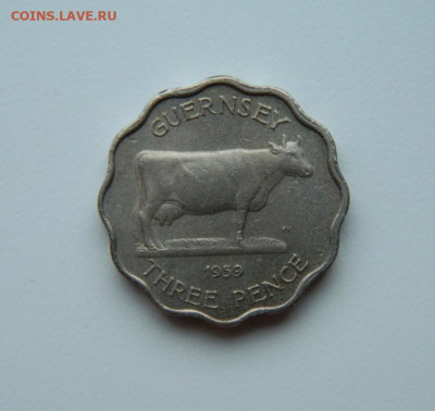 Гернси 3 пенса 1959 г. (Фауна)  до 08.02.24 - DSCN1968.JPG