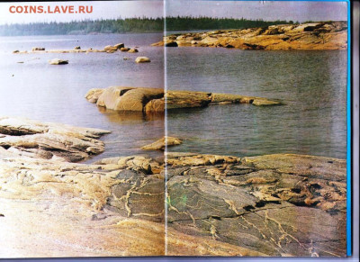 ПРИЛАДОЖЬЕ 1986 г. до 11.02.24 г. в 23.00 - 026