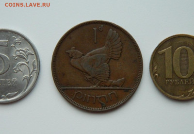 Ирландия 1 пенни 1928 г. (Фауна) Крупная! до 08.02.24 - DSCN1975.JPG