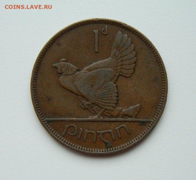 Ирландия 1 пенни 1928 г. (Фауна) Крупная! до 08.02.24 - DSCN1976.JPG