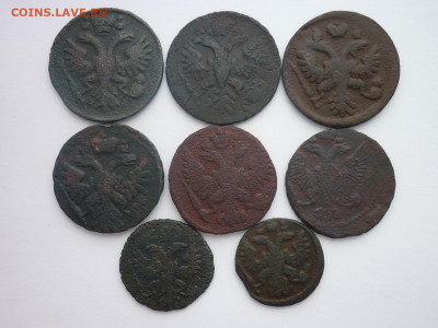 Денга 1731,35,37,38,49,50 + Полушка 1731,36г., до 10.02.24г. - P1240123.JPG