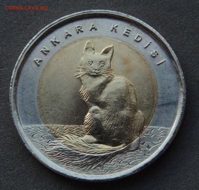 Турция 1 лира 2015 Кошка Ankara kedisi до 10.02.2024 - Турция 1л.2015.JPG
